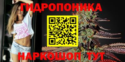 гидропоника Кунгур