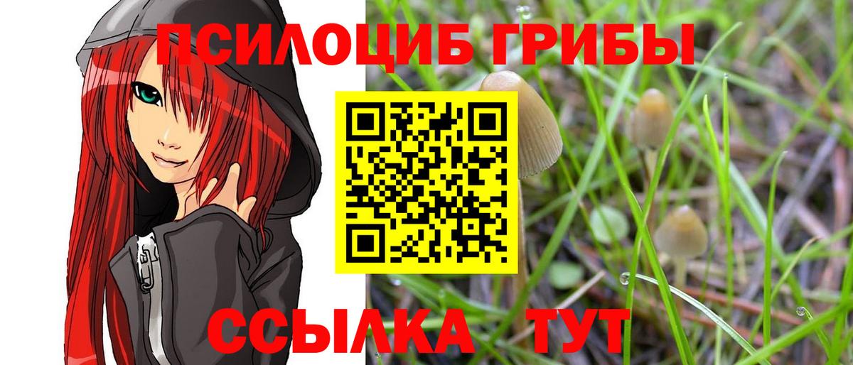 Галлюциногенные грибы Psilocybine cubensis Екатеринбург